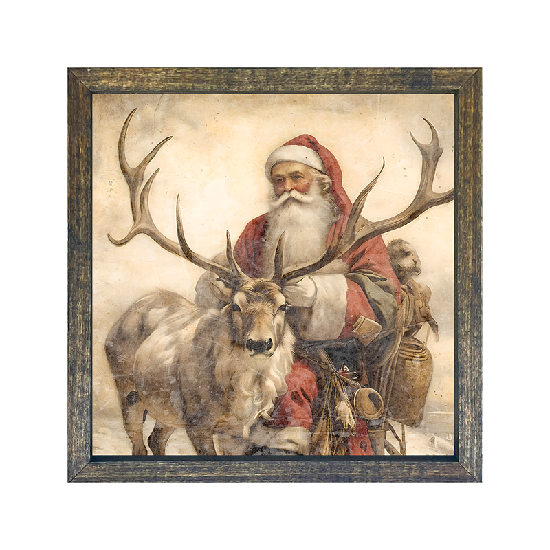 Reindeer with Santa  1