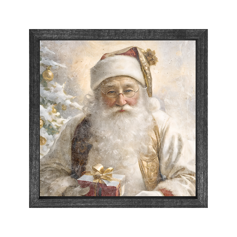 White Background Santa 7