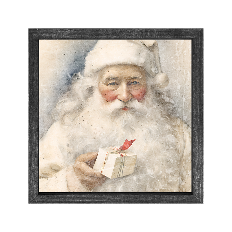 White Background Santa 8
