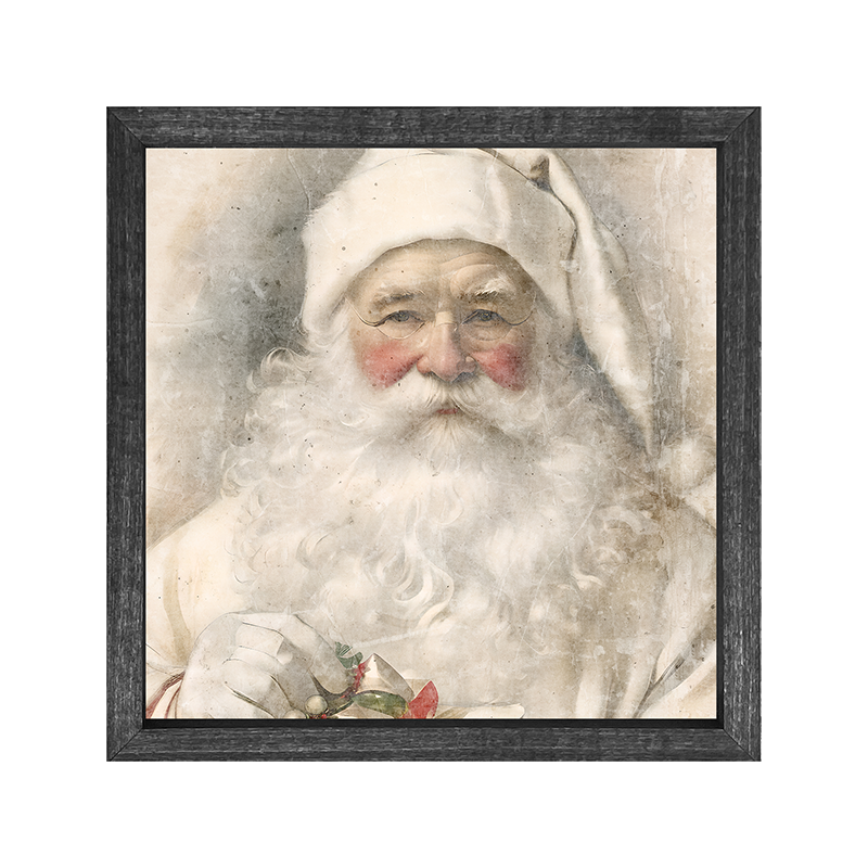 White Background Santa 9