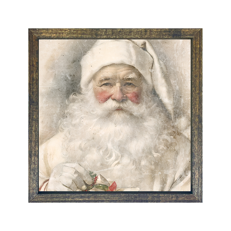 White Background Santa 9