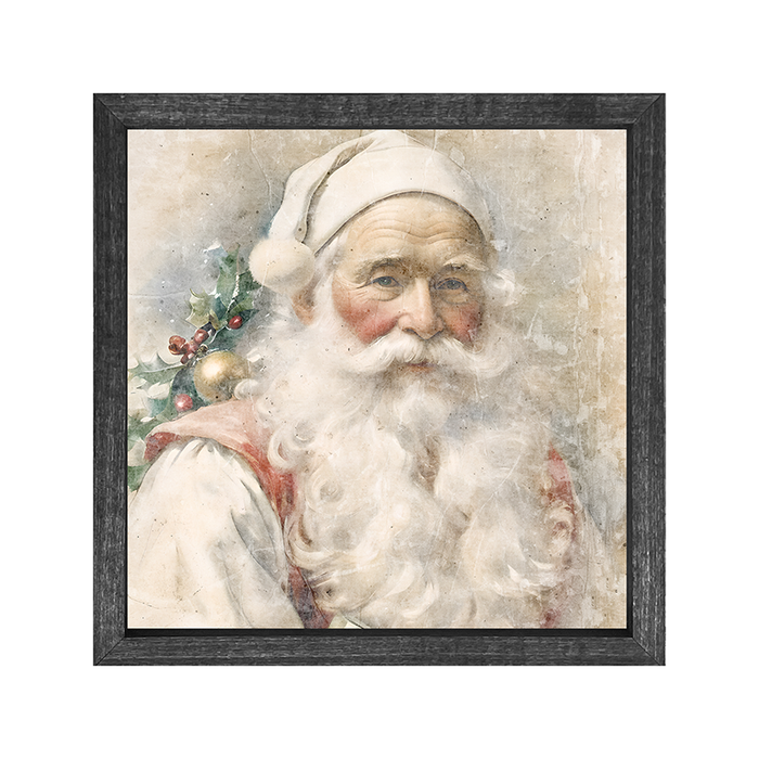 White Background Santa 10