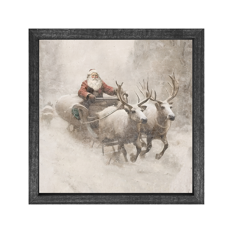 Sleigh Ride Santa