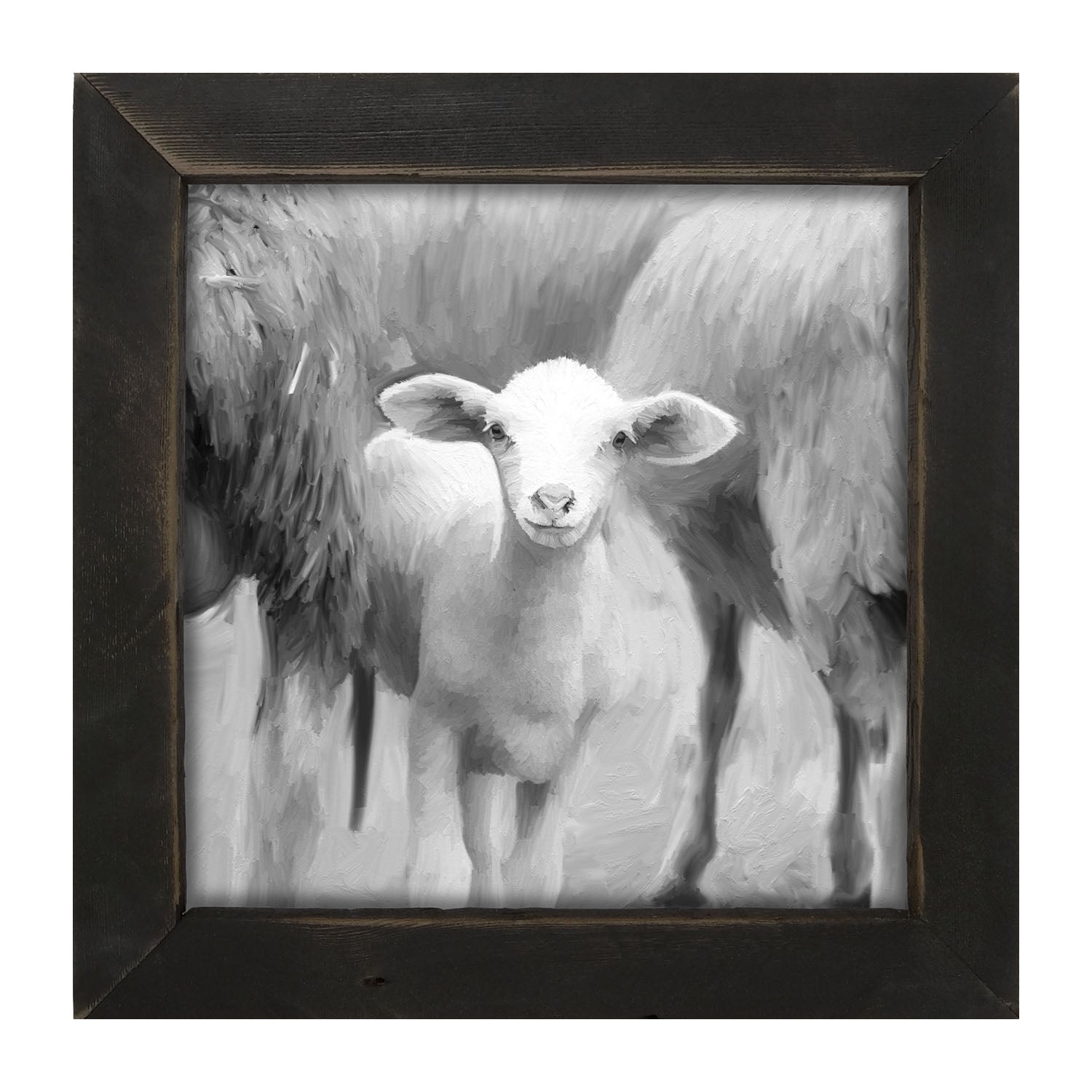 Little sheep - Black and white - Framed art