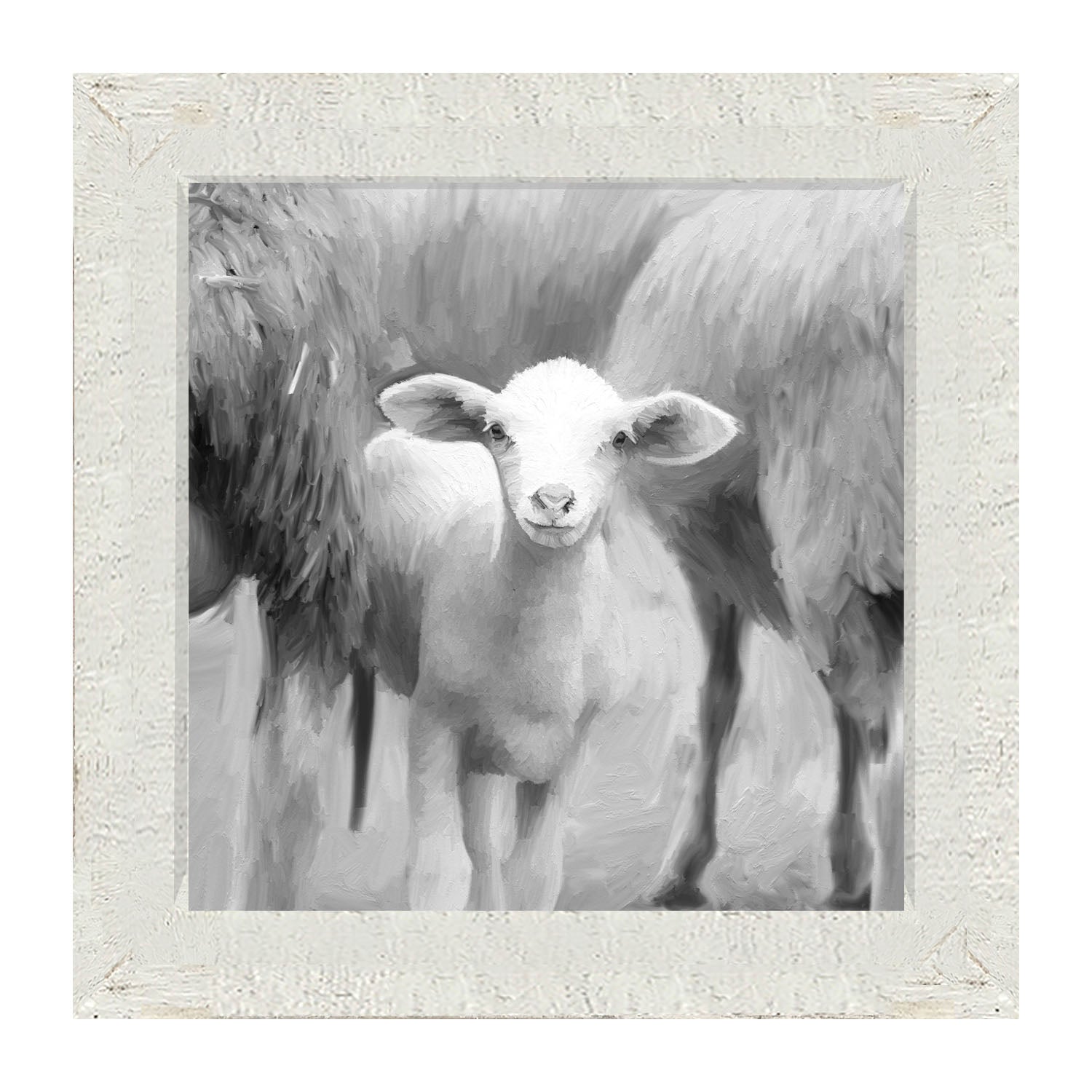 Little sheep - Black and white - Framed art