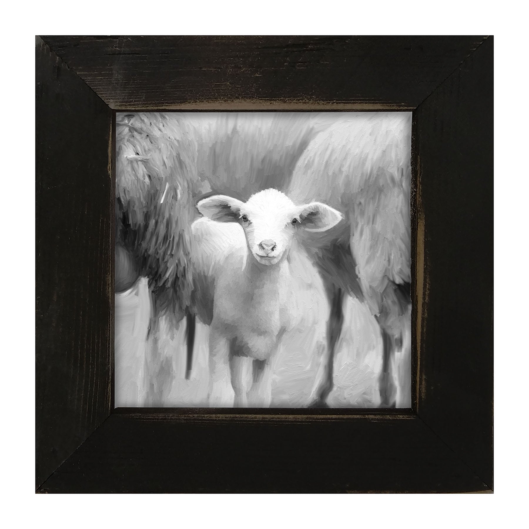 Little sheep - Black and white - Framed art