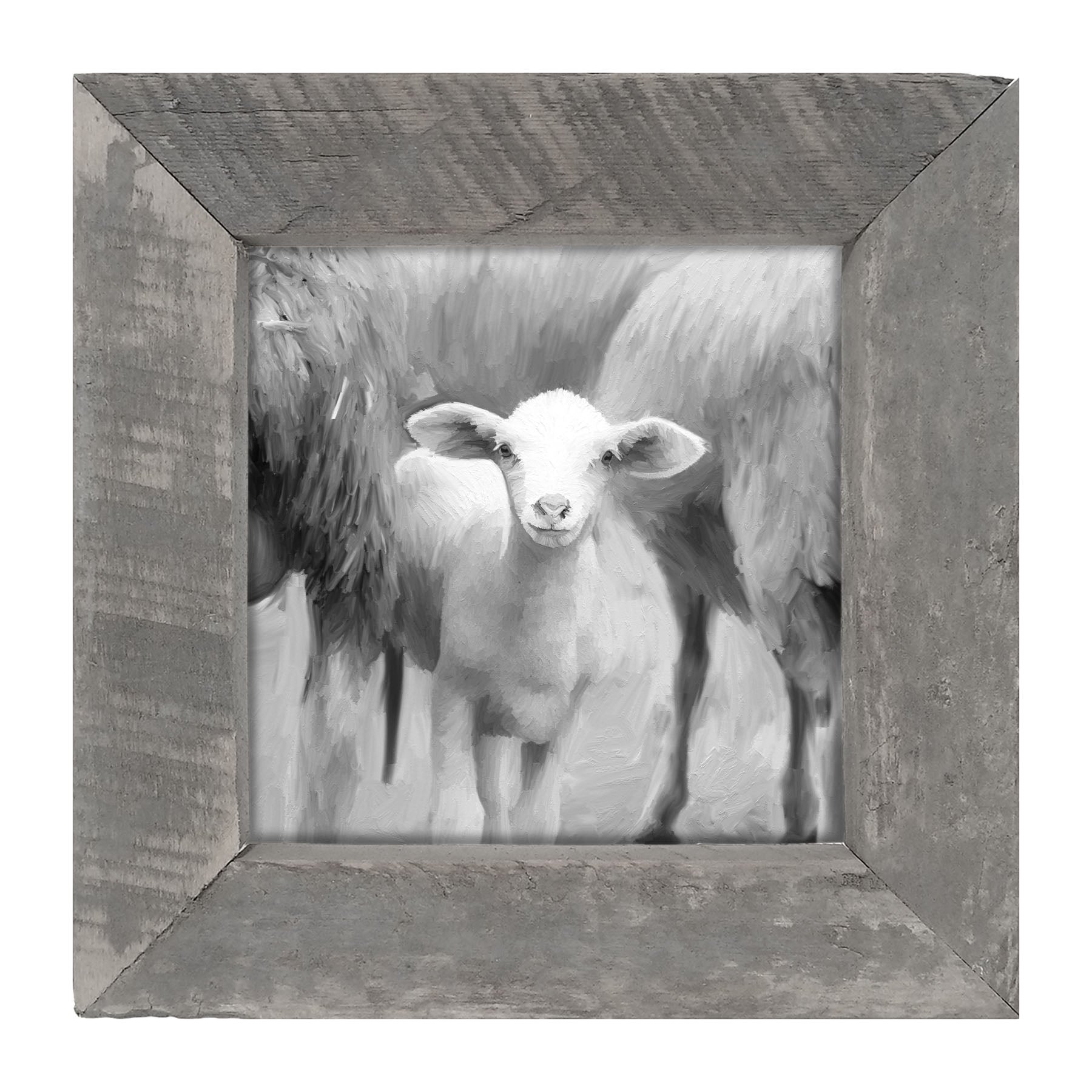 Little sheep - Black and white - Framed art