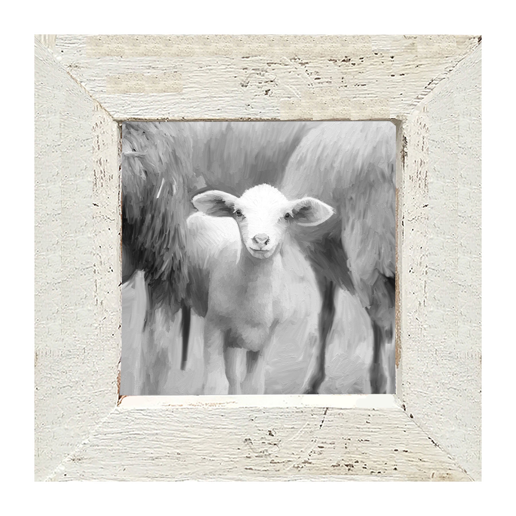 Little sheep - Black and white - Framed art