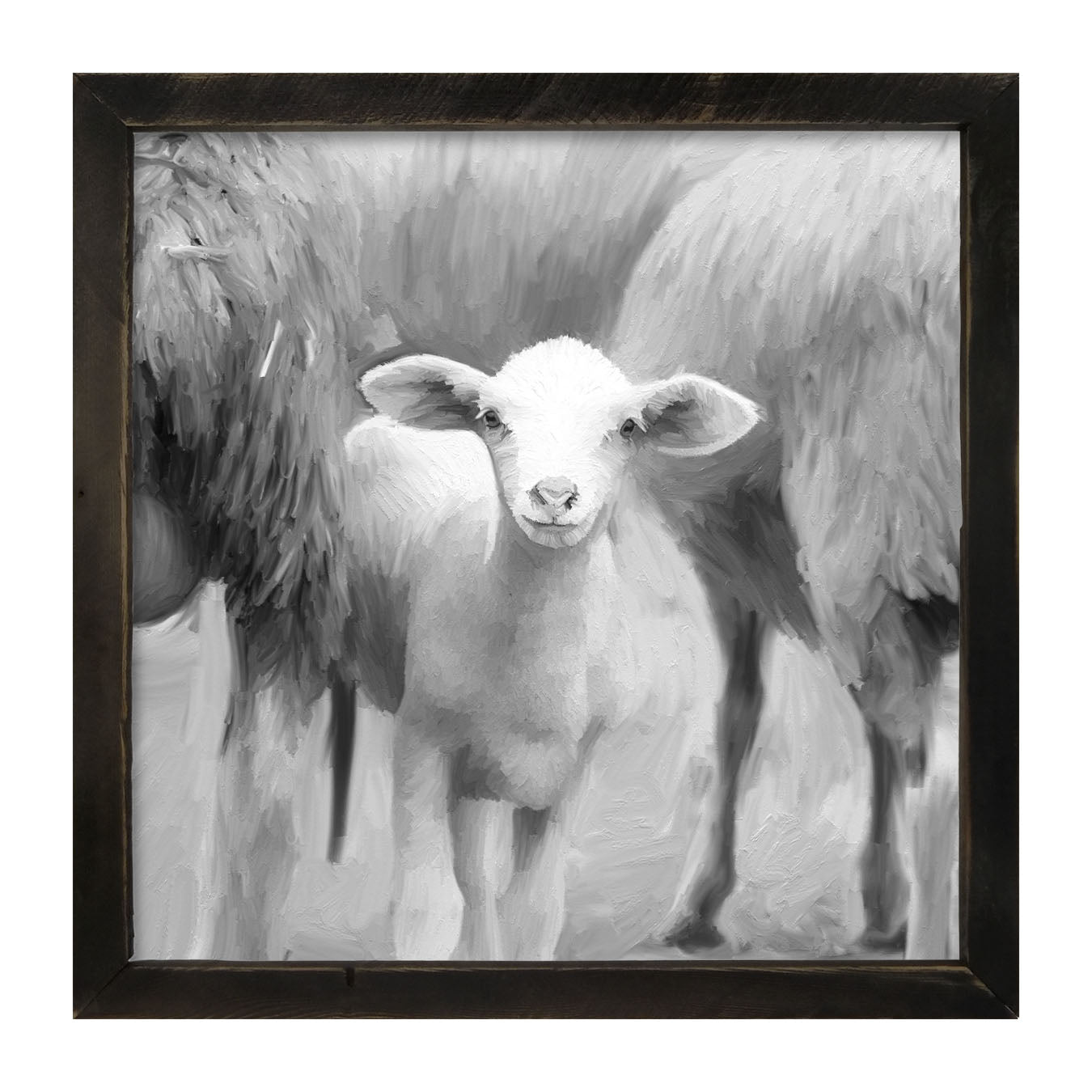 Little sheep - Black and white - Framed art