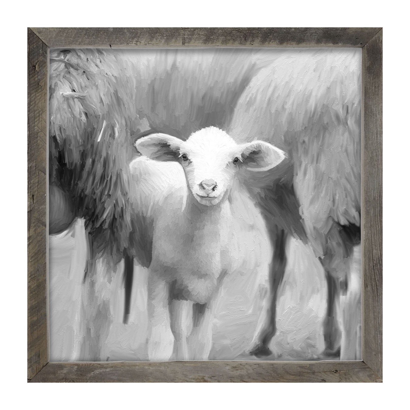 Little sheep - Black and white - Framed art