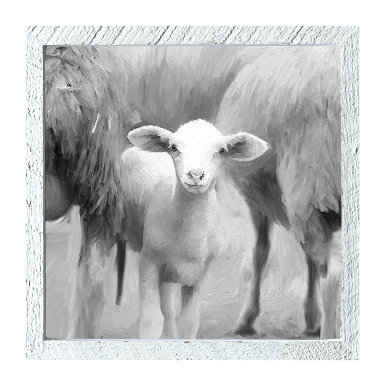 Little sheep - Black and white - Framed art