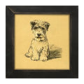 Framed Art