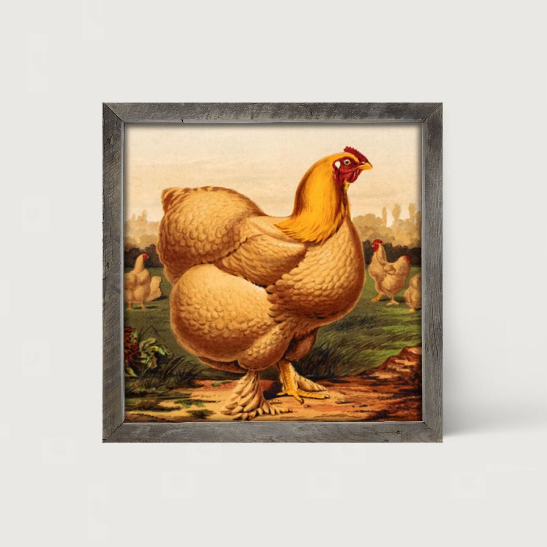 Golden Chicken - Framed art