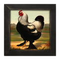 Framed Art