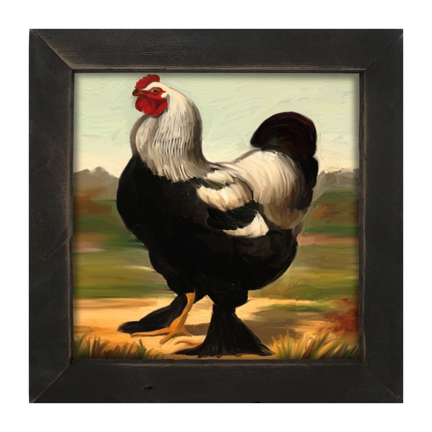 Black & White Rooster - Framed art