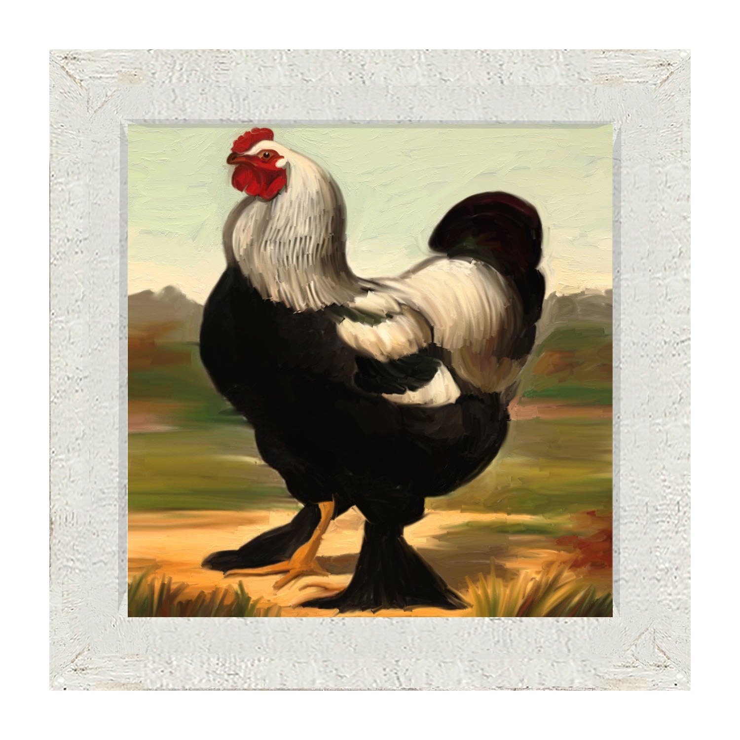 Black & White Rooster - Framed art