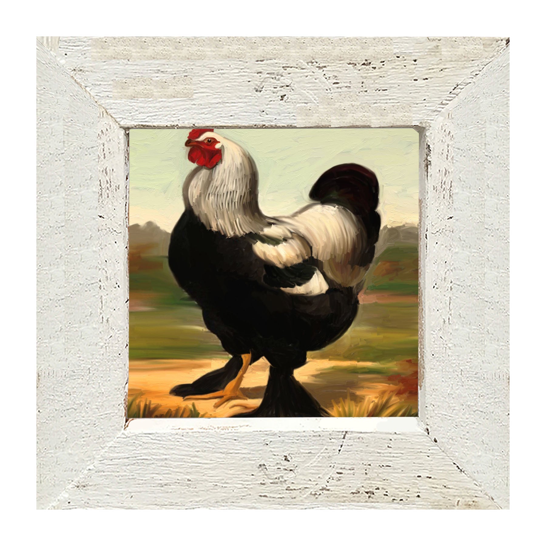 Black & White Rooster - Framed art