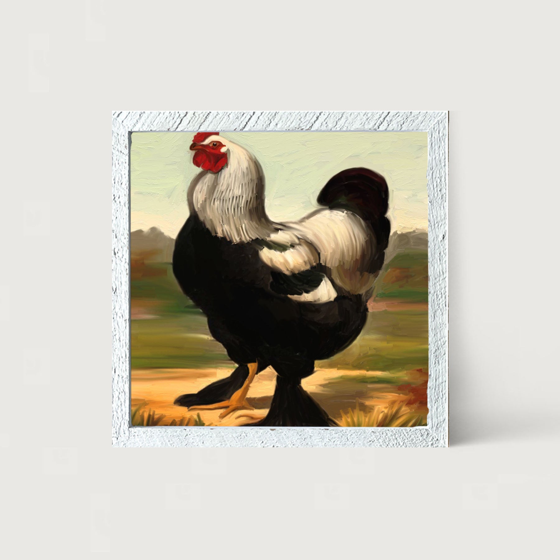 Black & White Rooster - Framed art