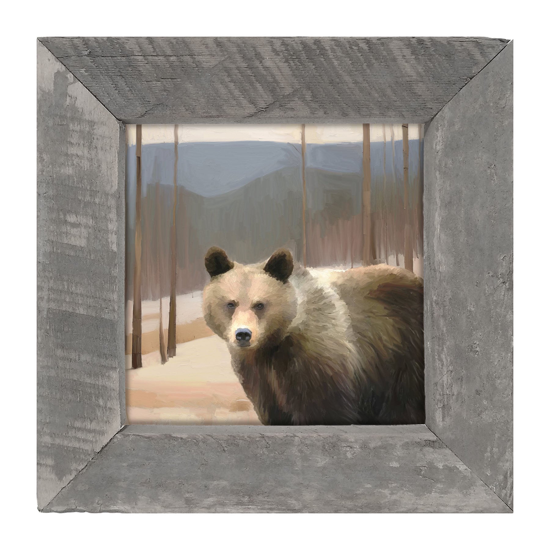 Brown Bear - Framed art