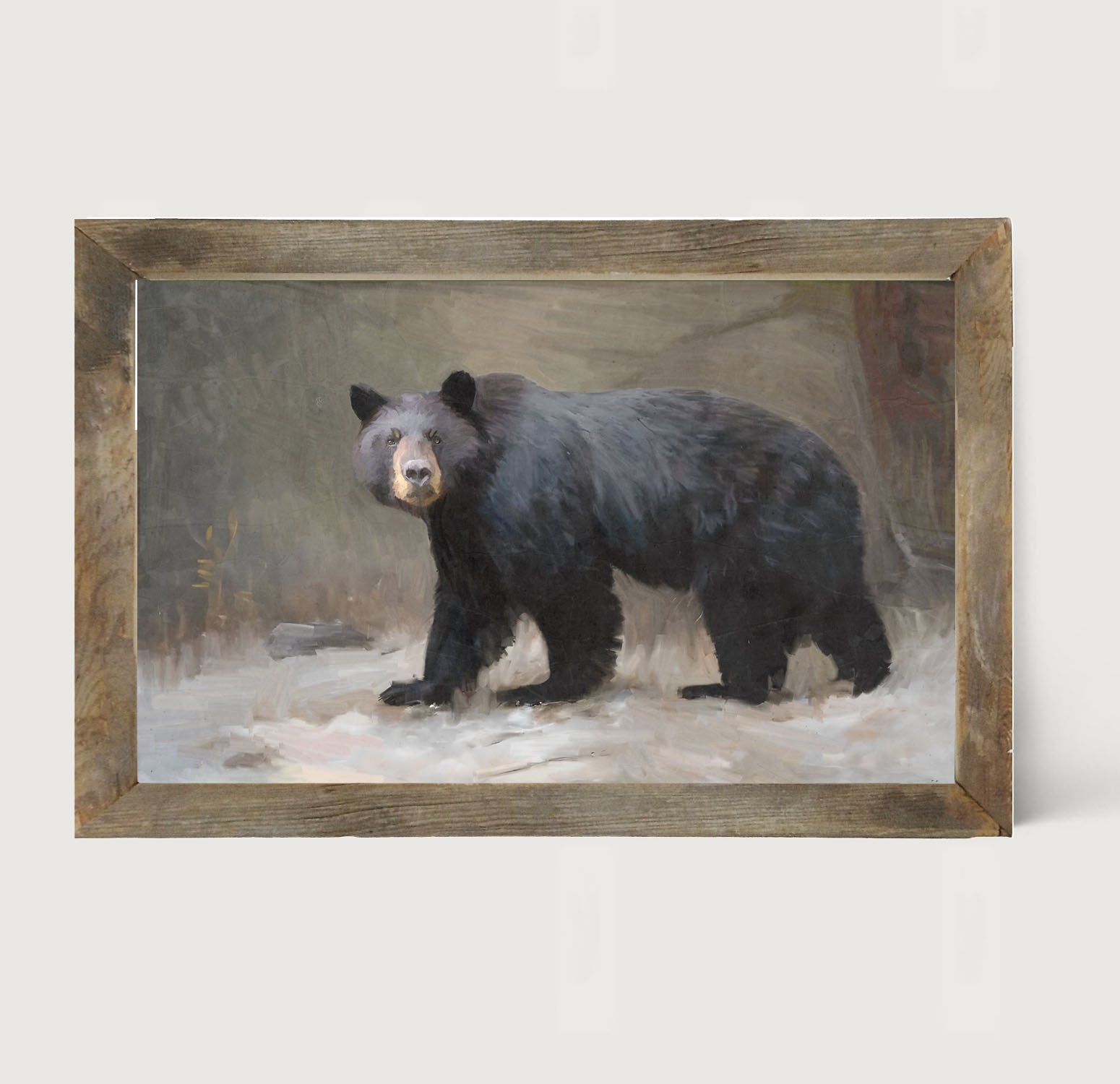 Black Bear Walking