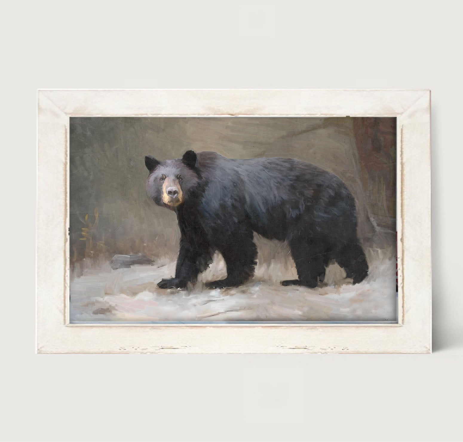 Black Bear Walking