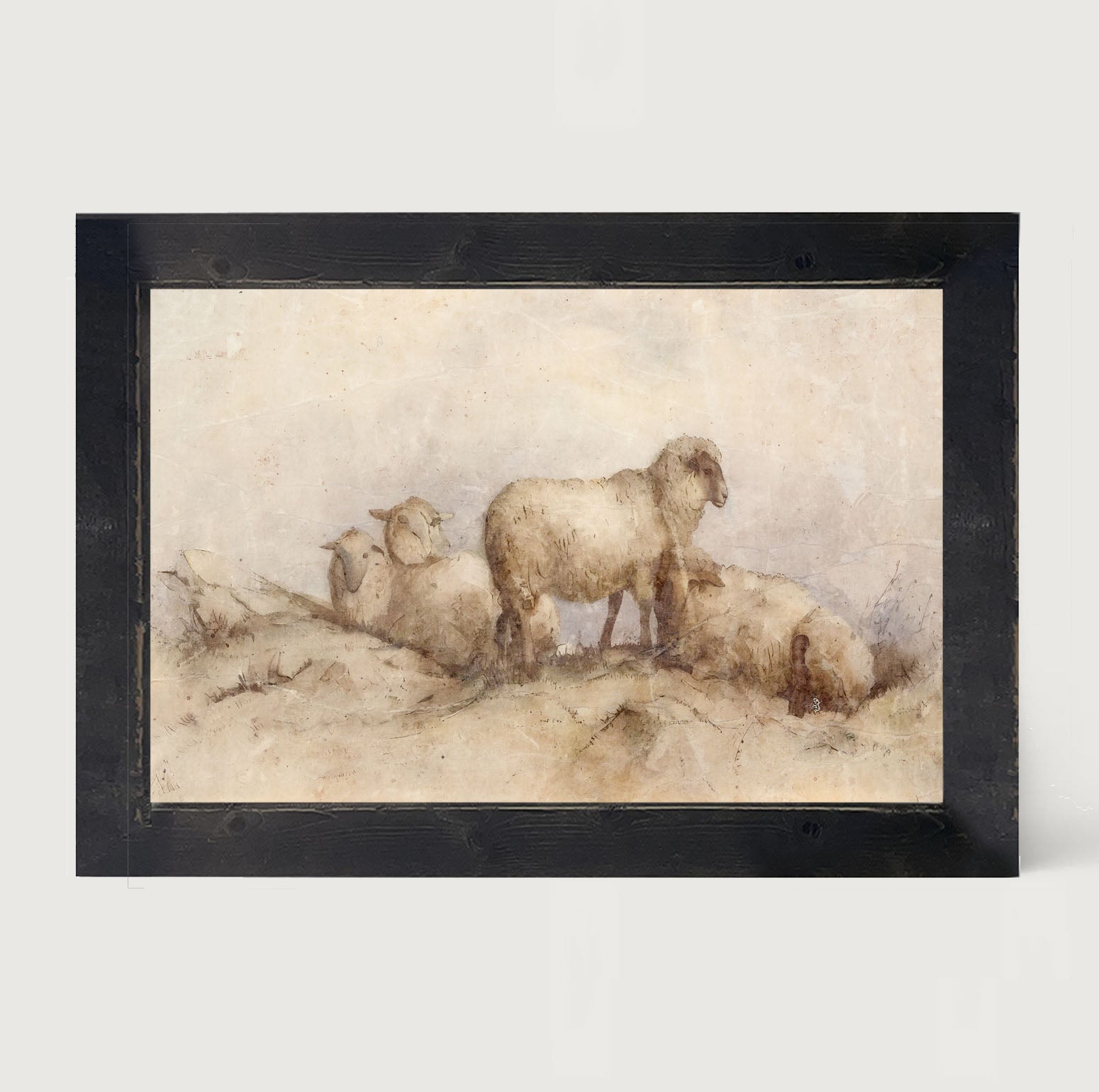 Peaceful sheep - Framed art