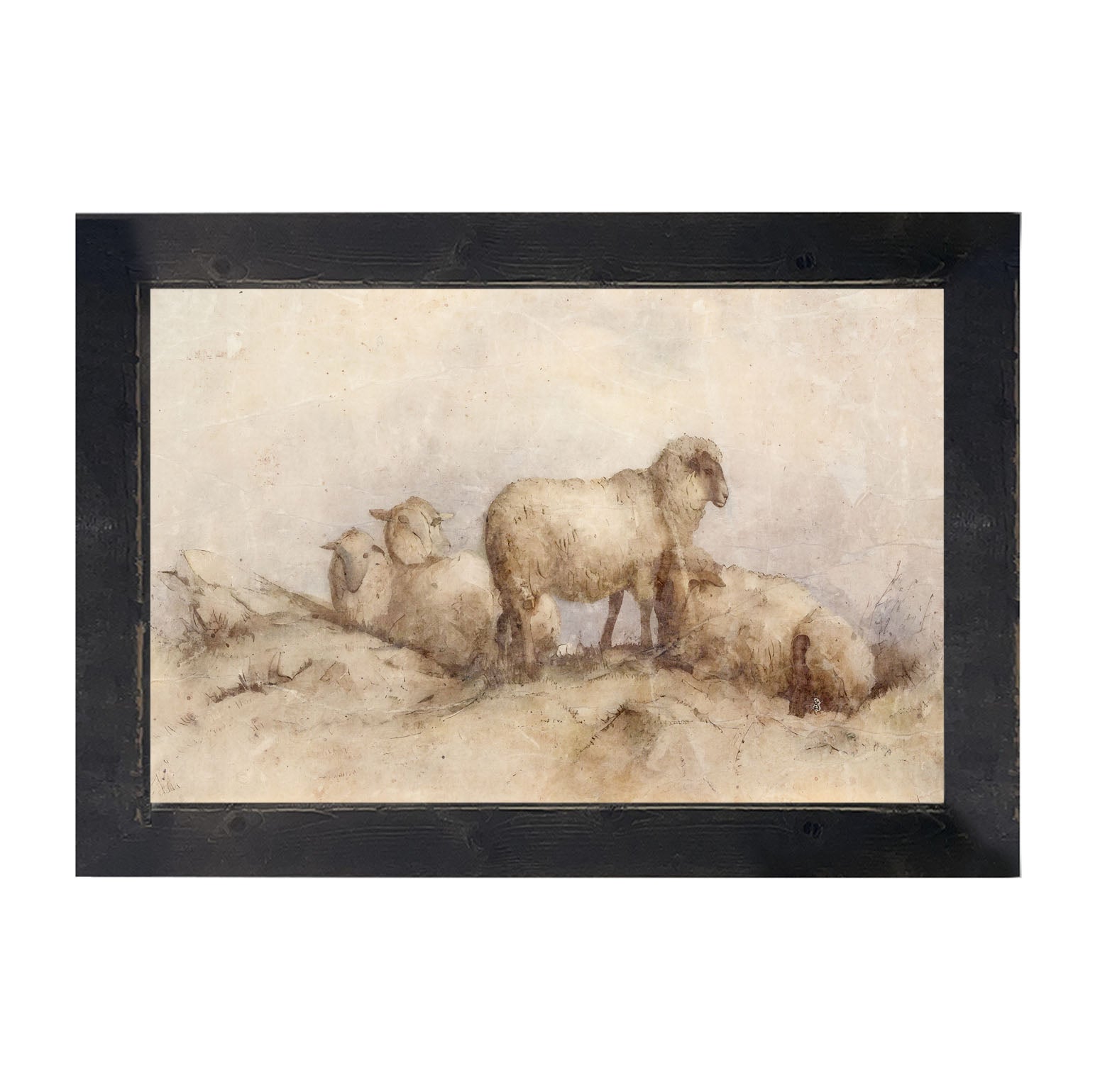 Peaceful sheep - Framed art