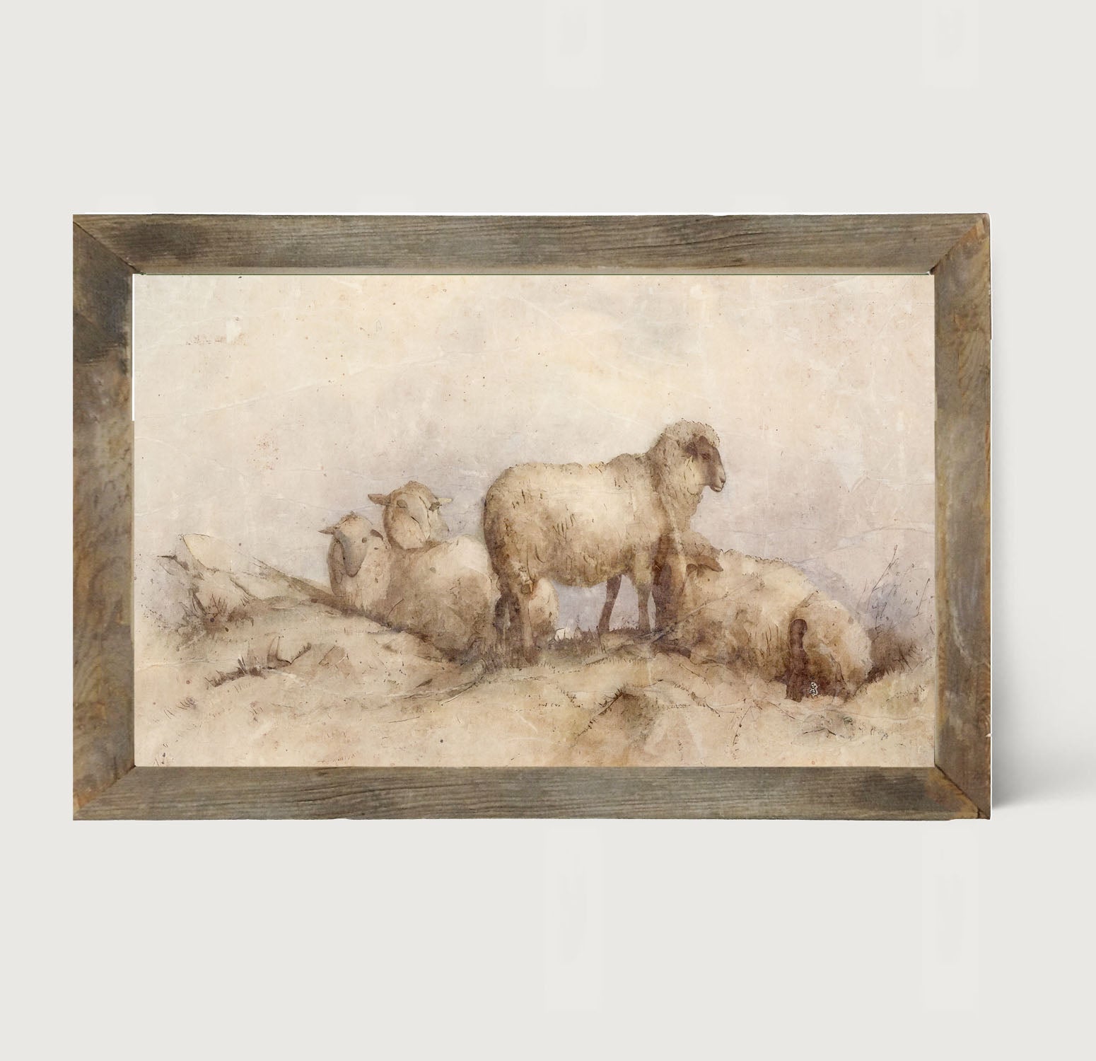 Peaceful sheep - Framed art