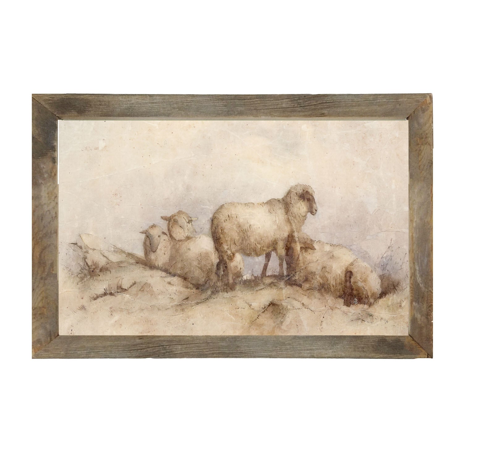 Peaceful sheep - Framed art