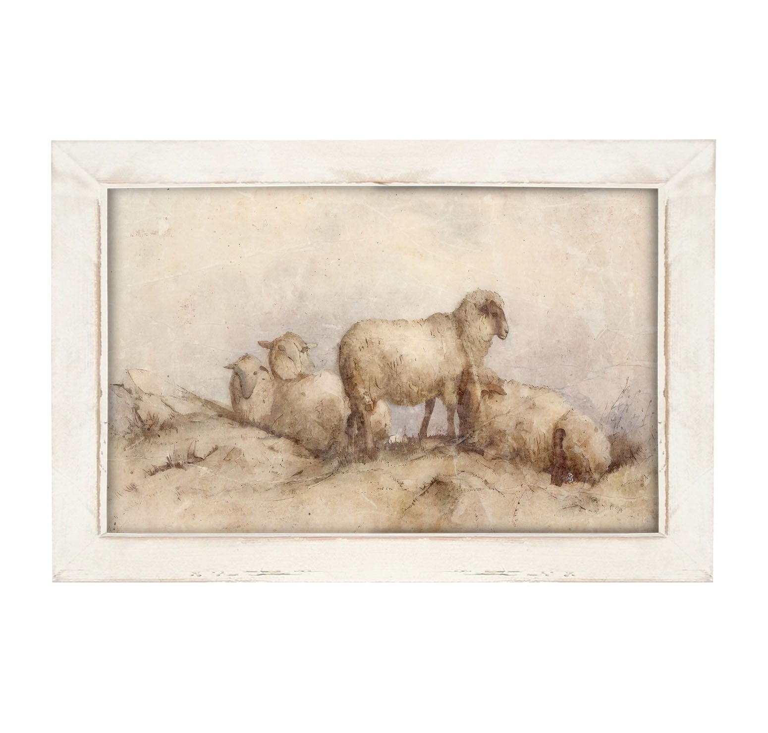 Peaceful sheep - Framed art