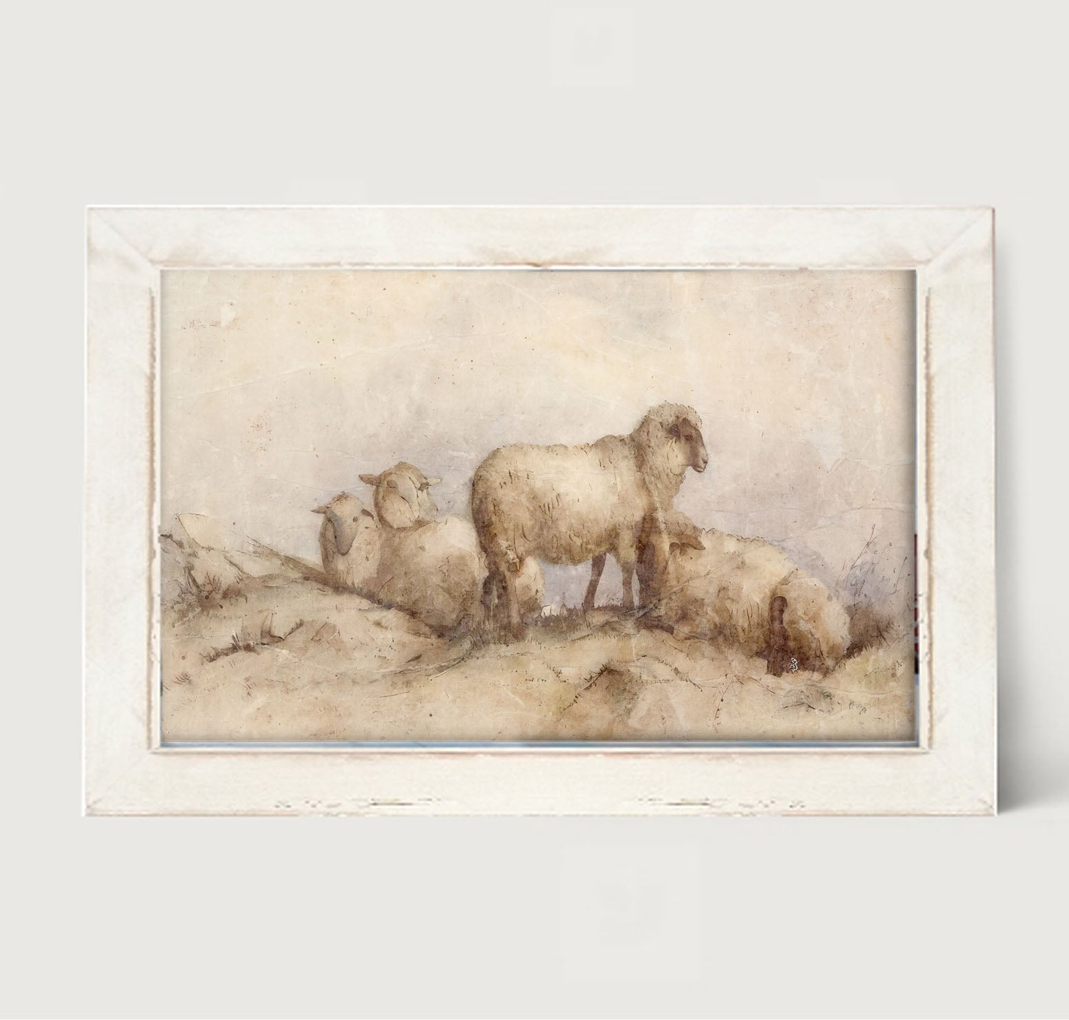 Peaceful sheep - Framed art