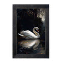 Framed Art