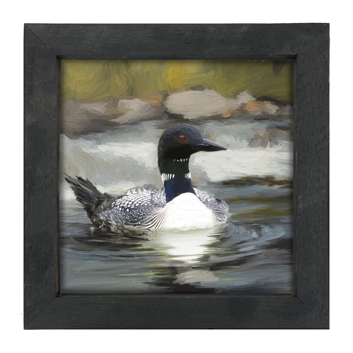 Loon in the Water - Framed art