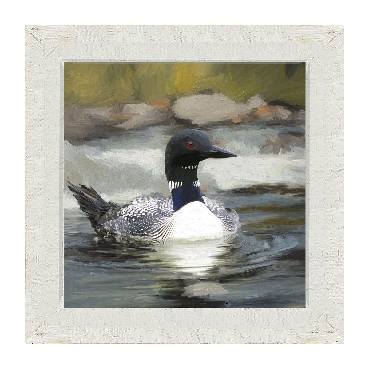 Loon in the Water - Framed art