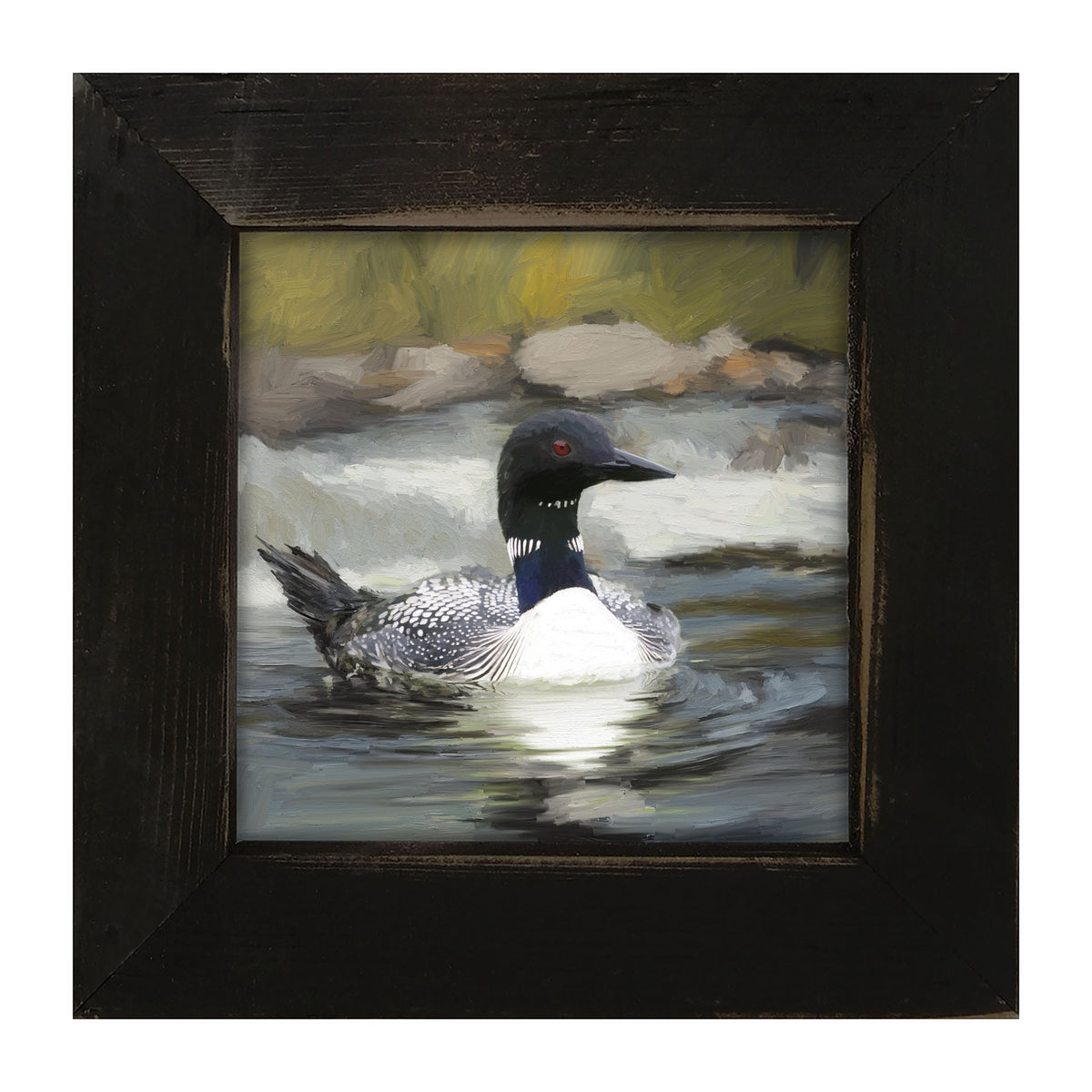Loon in the Water - Framed art