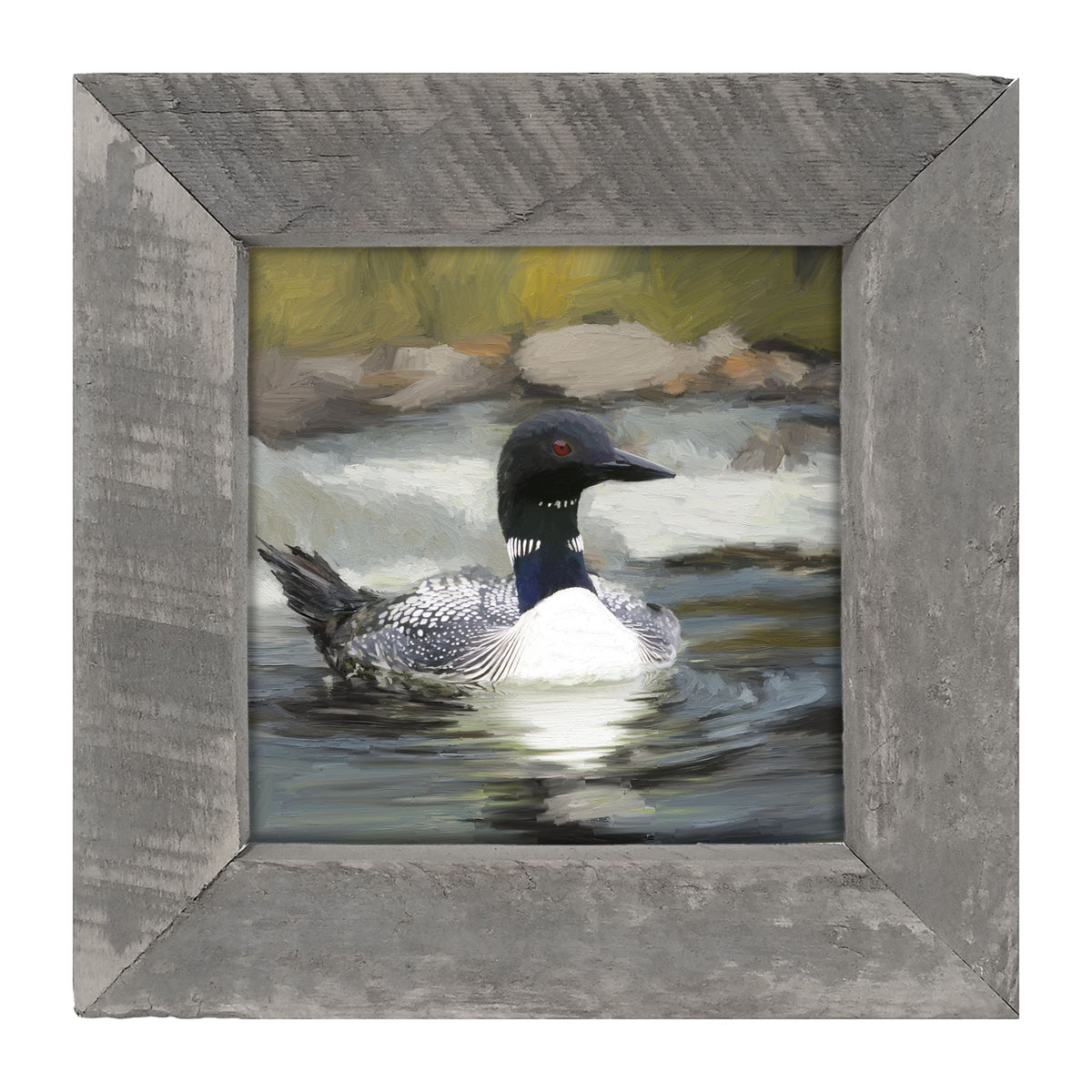 Loon in the Water - Framed art