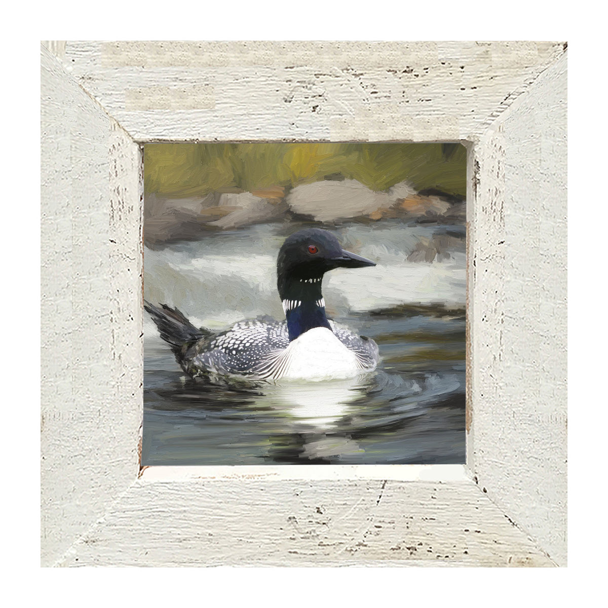 Loon in the Water - Framed art