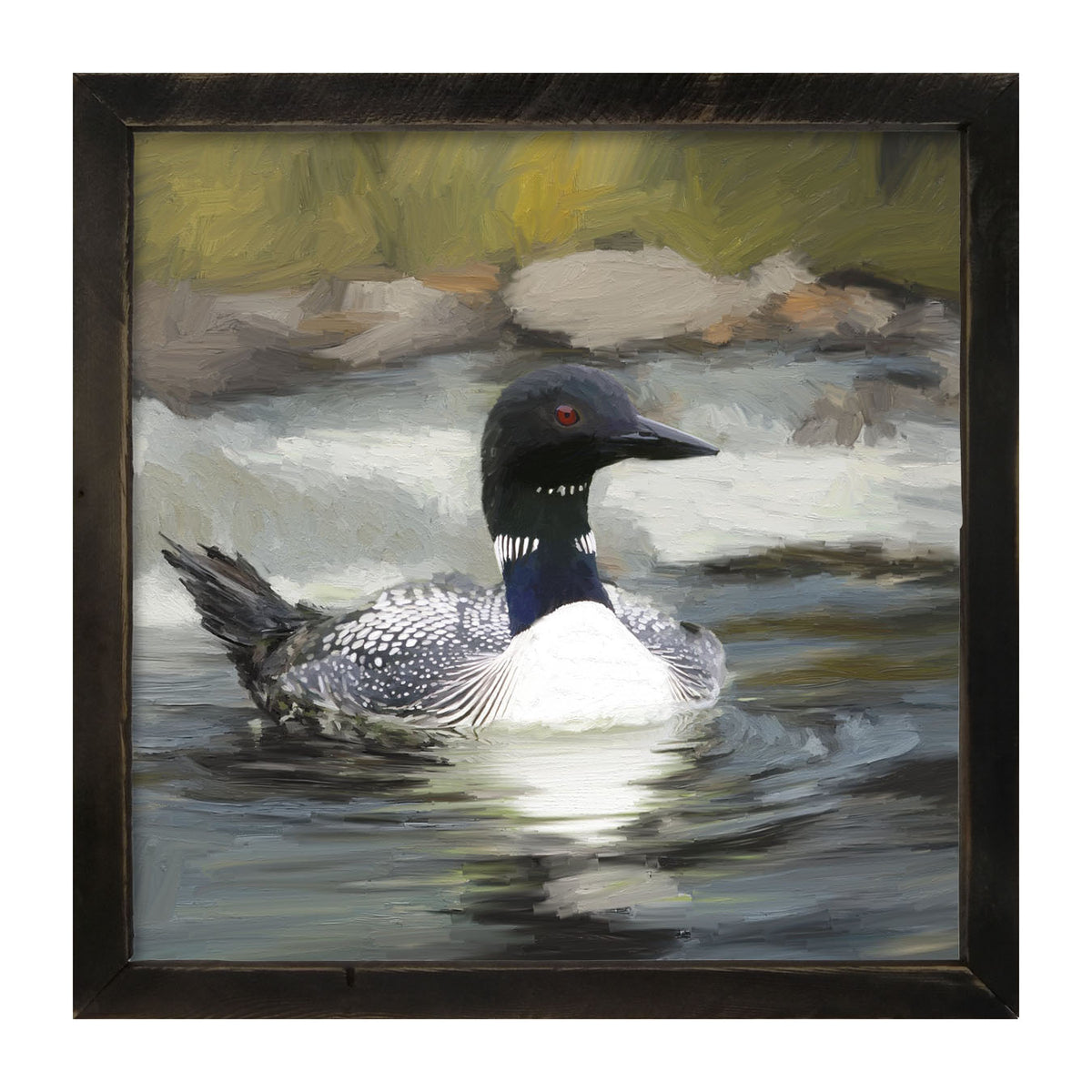 Loon in the Water - Framed art