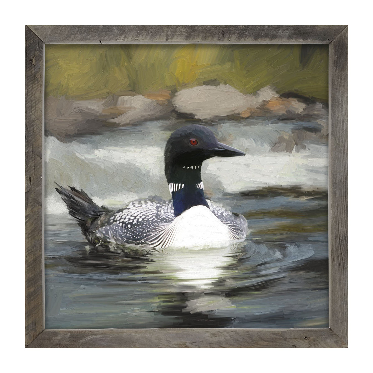 Loon in the Water - Framed art