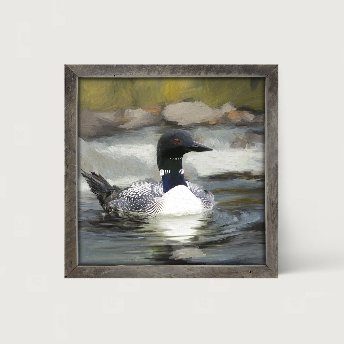 Loon in the Water