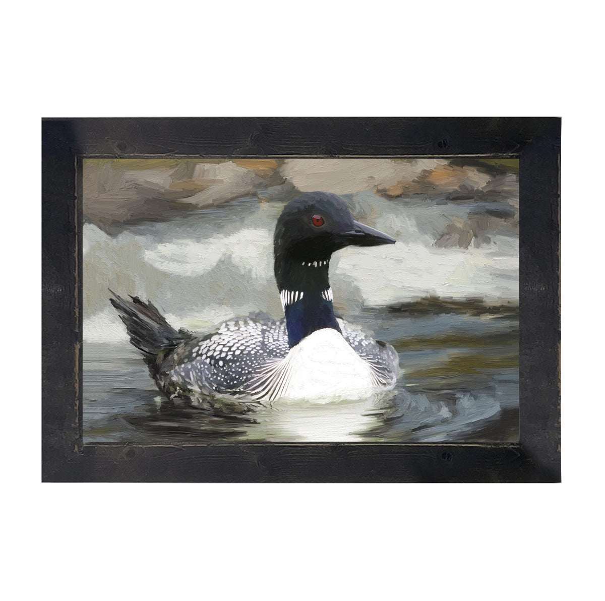 Loon in the Water - Framed art
