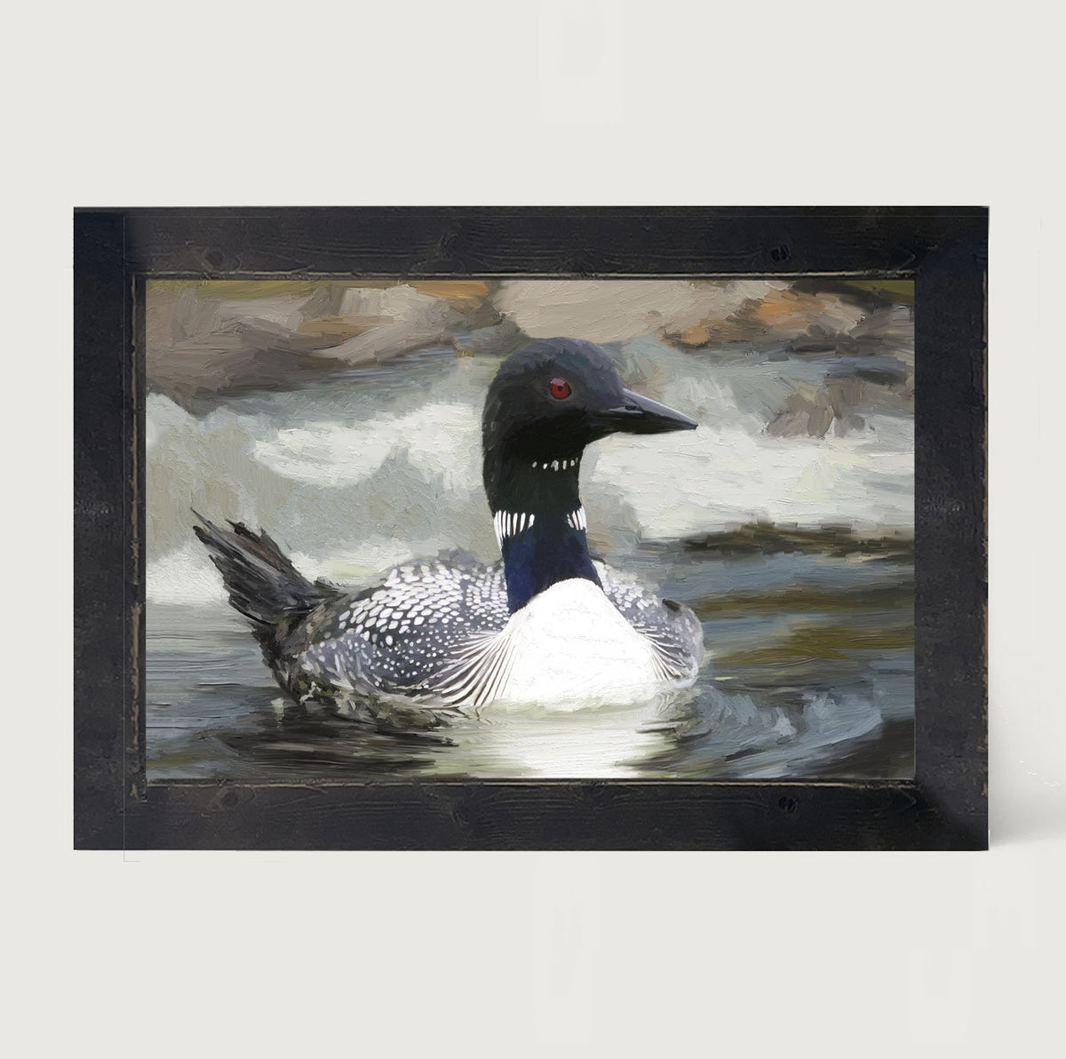 Loon in the Water