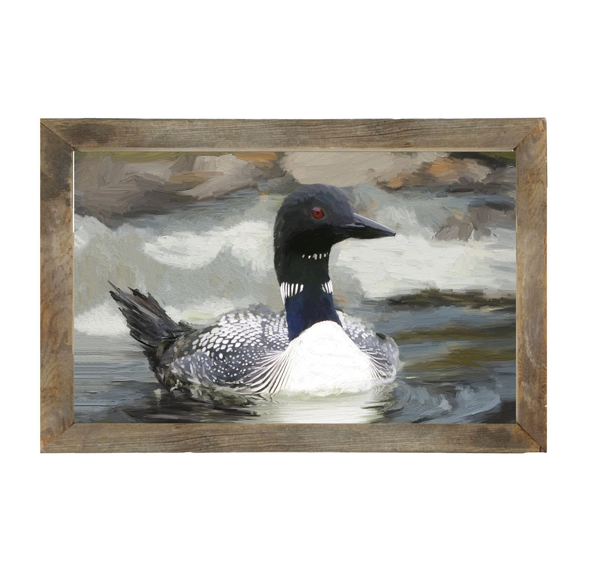 Loon in the Water - Framed art