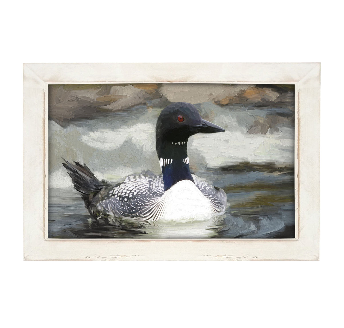 Loon in the Water - Framed art