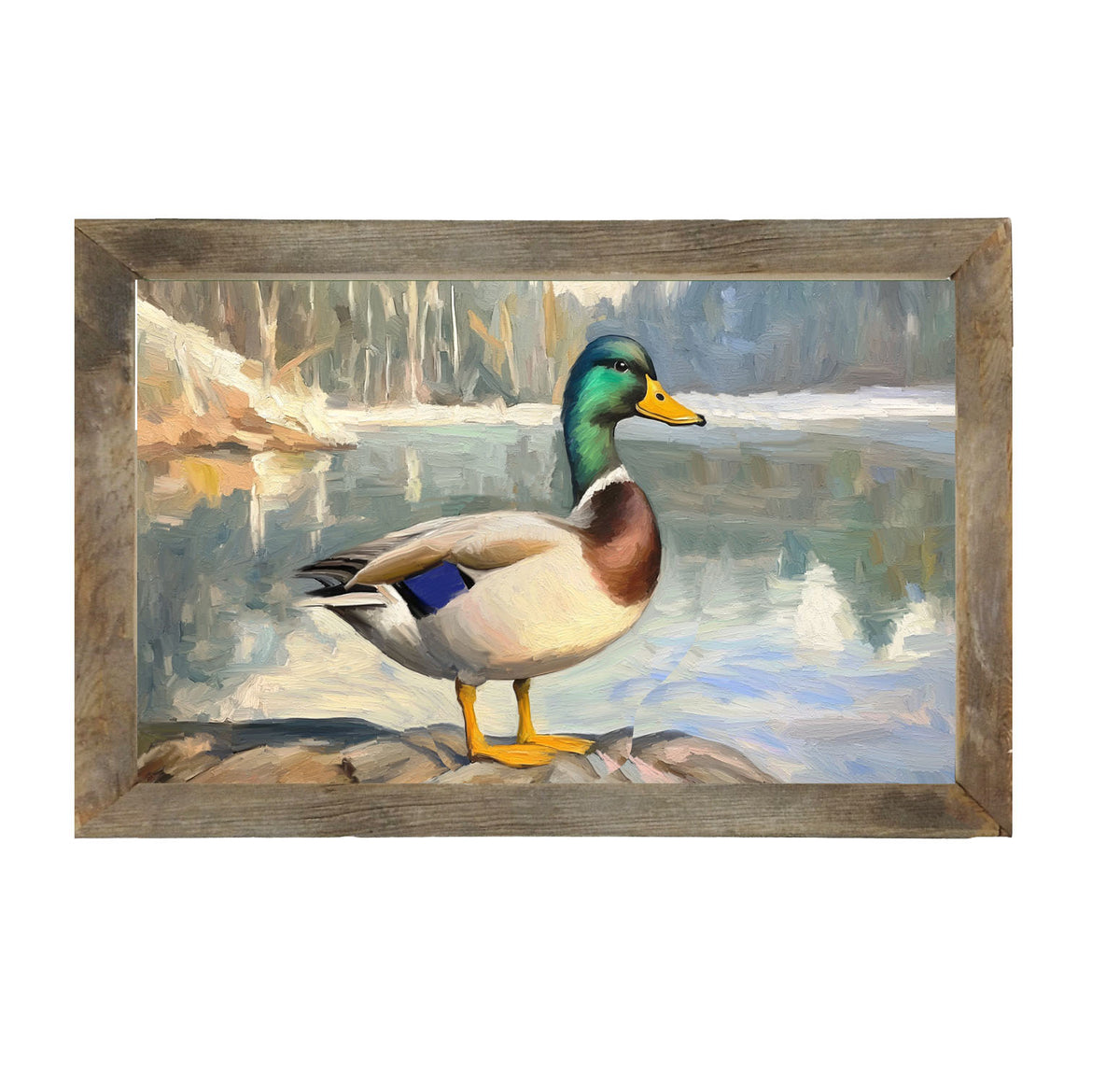Waterside Duck - Framed Art