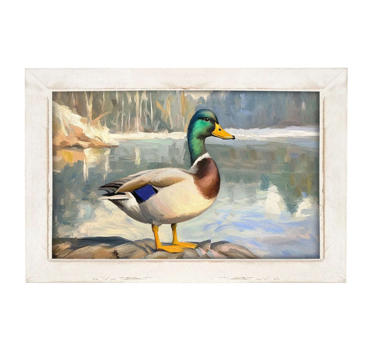 Waterside Duck - Framed Art