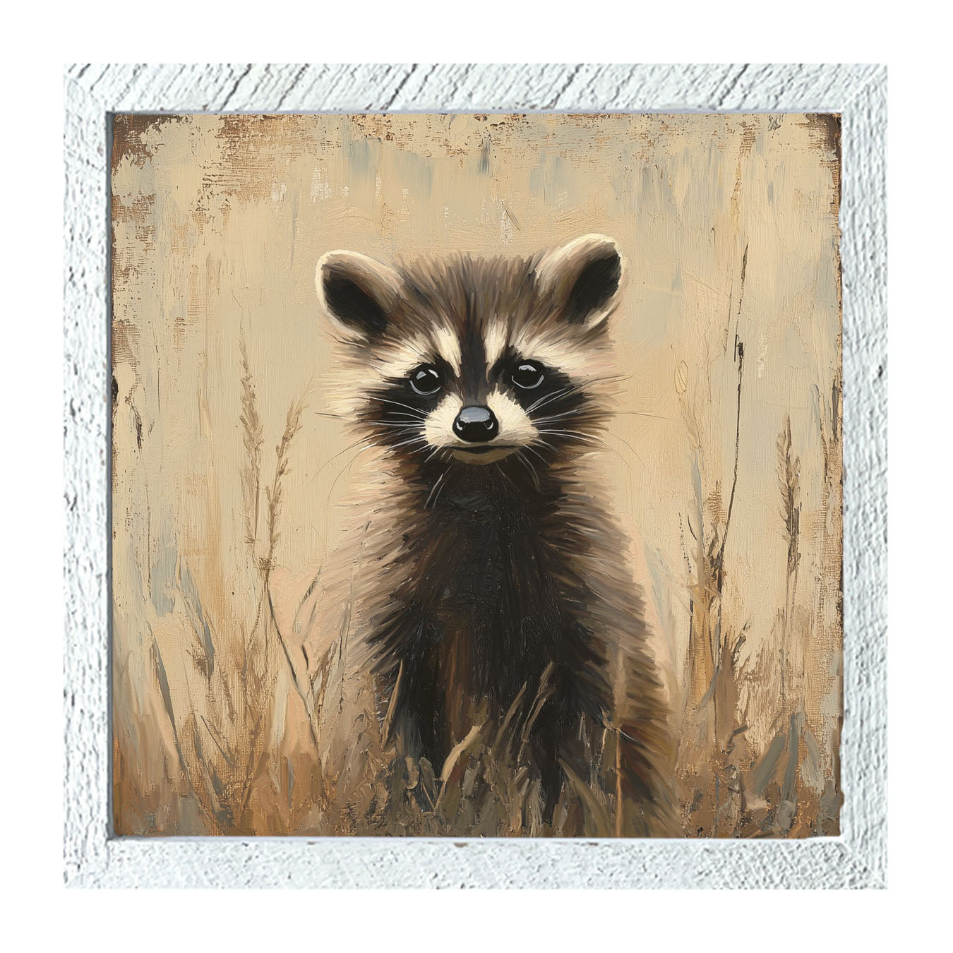 Baby Raccoon - Framed art