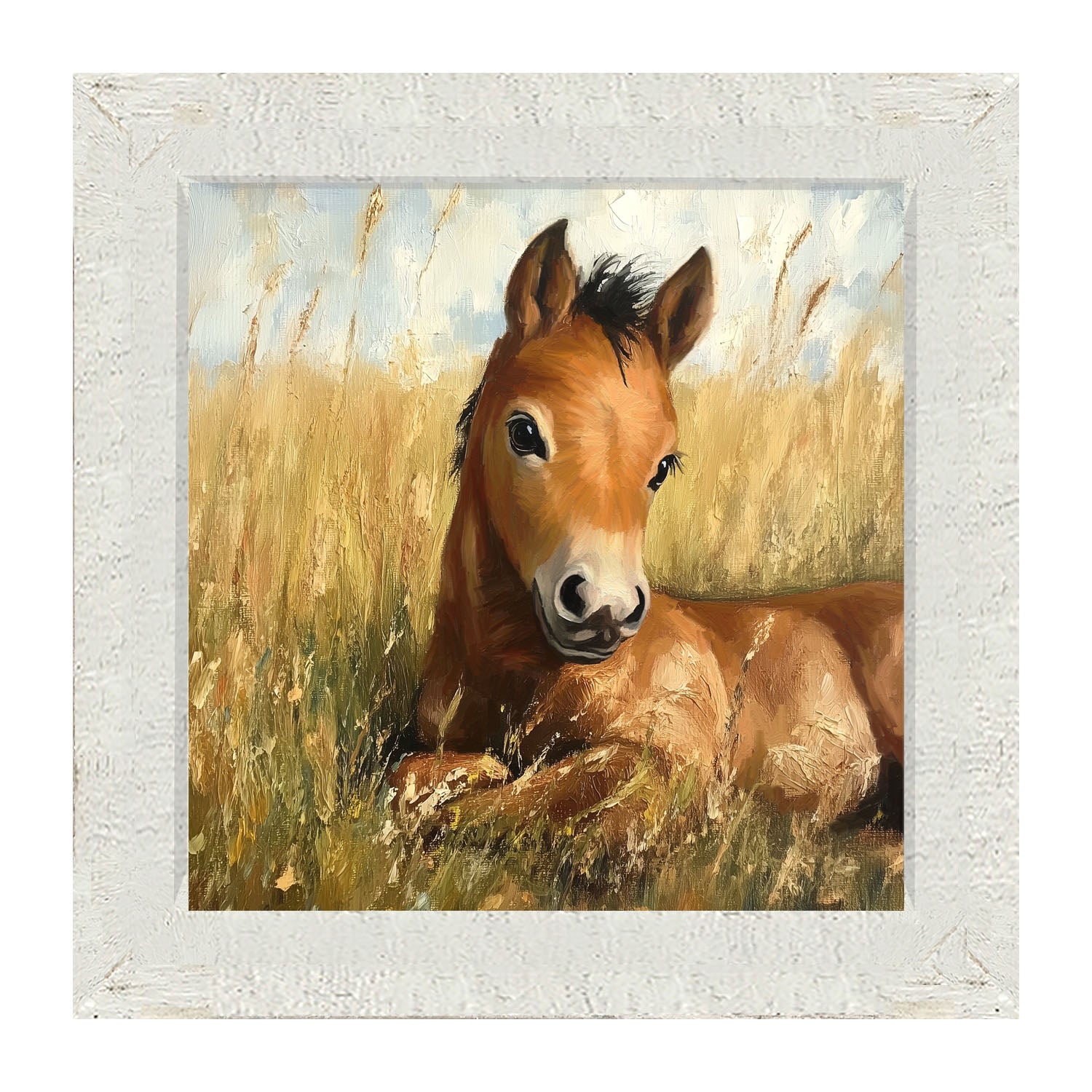 Baby Foal in a Meadow - Framed art