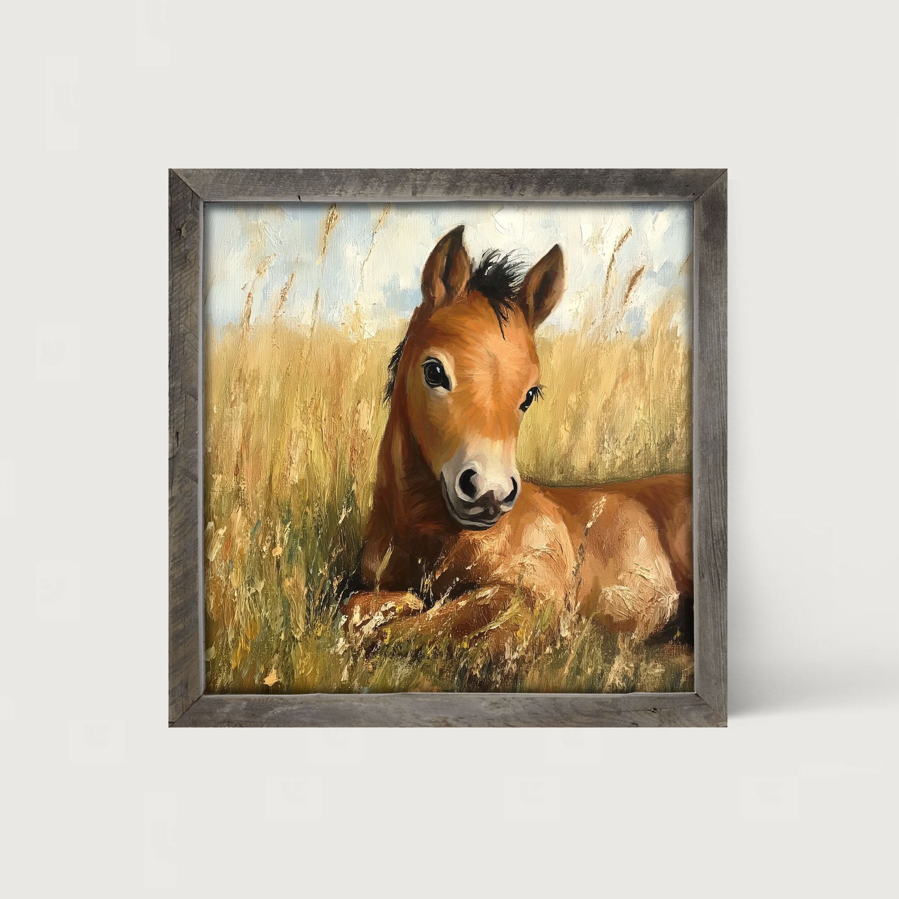 Baby Foal in a Meadow