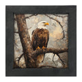 Framed Art